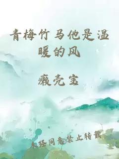 青梅竹马他是温暖的风