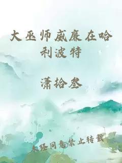 大巫师威廉在哈利波特