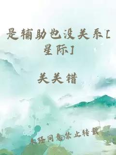 是辅助也没关系[星际]