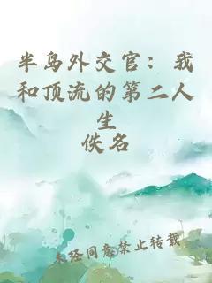 半岛外交官：我和顶流的第二人生